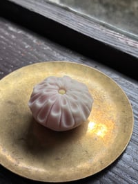 体験記画像 2