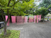 体験記画像 3