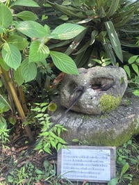 体験記画像 1