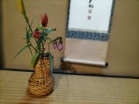 体験記画像 1