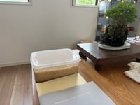 体験記画像 3