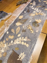 体験記画像 2