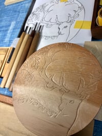 体験記画像 1