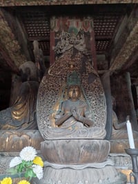 体験記画像 1