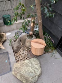 体験記画像 1