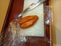 体験記画像 1
