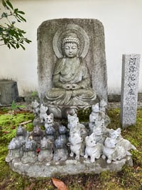 体験記画像 4