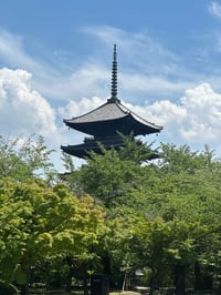 体験記画像 2
