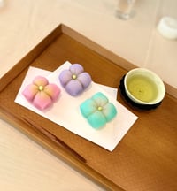 体験記画像 1