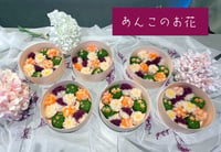 体験記画像 1