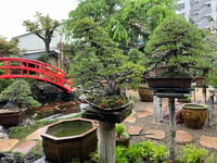 体験記画像 3