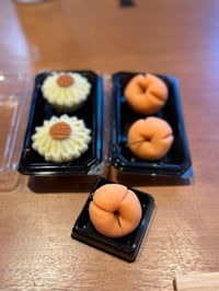 体験記画像 2