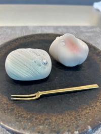 体験記画像 1