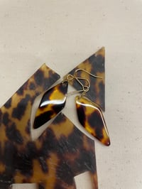 体験記画像 4