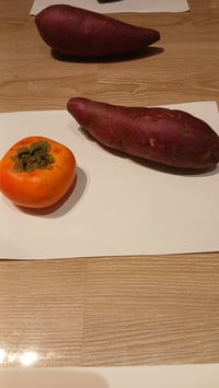 体験記画像 1