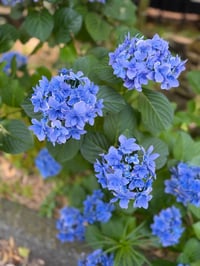 体験記画像 6
