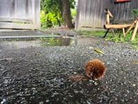 体験記画像 2
