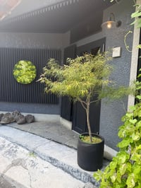 体験記画像 5