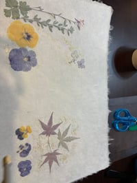 体験記画像 3