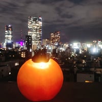体験記画像 1
