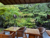 体験記画像 4