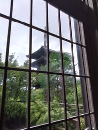 体験記画像 1