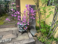 体験記画像 6