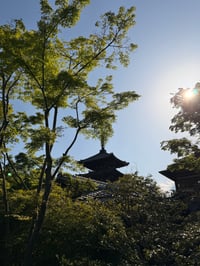 体験記画像 5