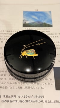 体験記画像 3