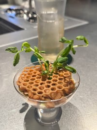 体験記画像 3
