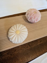 体験記画像 4