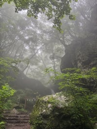 体験記画像 4