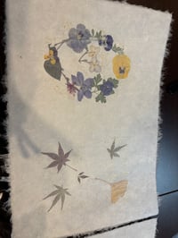 体験記画像 1