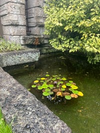 体験記画像 6