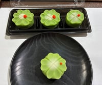 体験記画像 1
