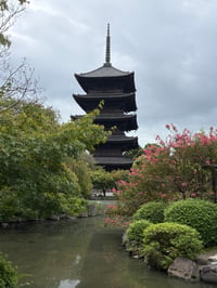 体験記画像 1