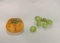 体験記画像 1
