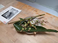 体験記画像 1