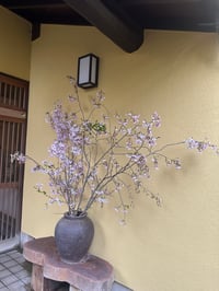 体験記画像 2