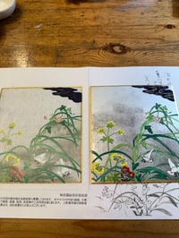 体験記画像 1