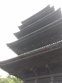 体験記画像 1