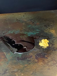 体験記画像 1