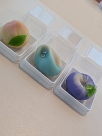 体験記画像 2