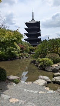 体験記画像 2