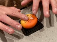 体験記画像 2