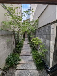 体験記画像 1