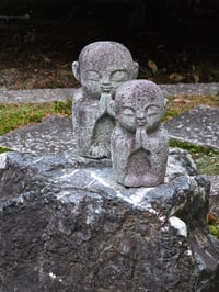 体験記画像 4