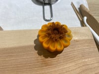体験記画像 1