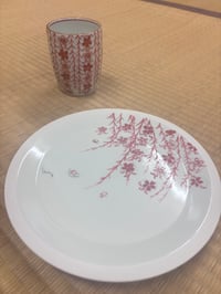 体験記画像 1