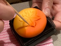 体験記画像 4